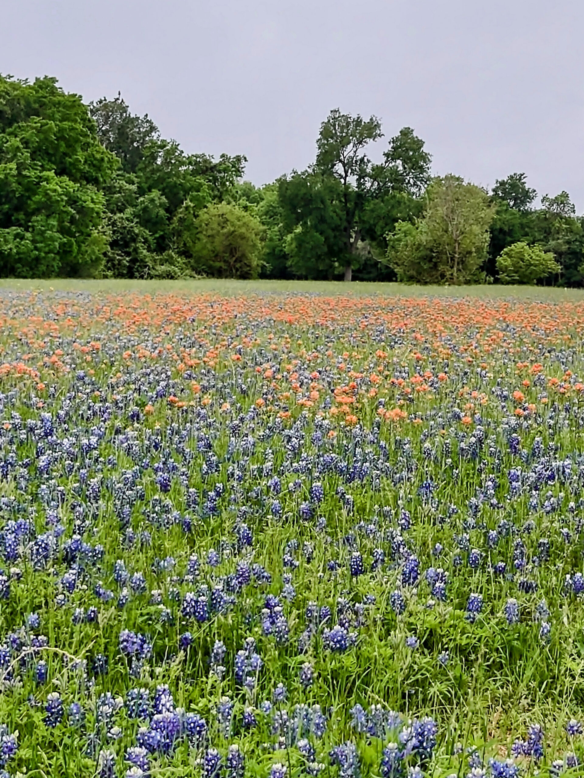 In praise of Texas parks