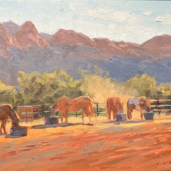 Things I noticed at Sedona Plein Air