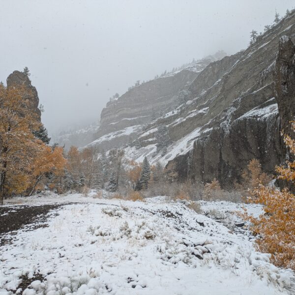 Above Cody on the South Fork