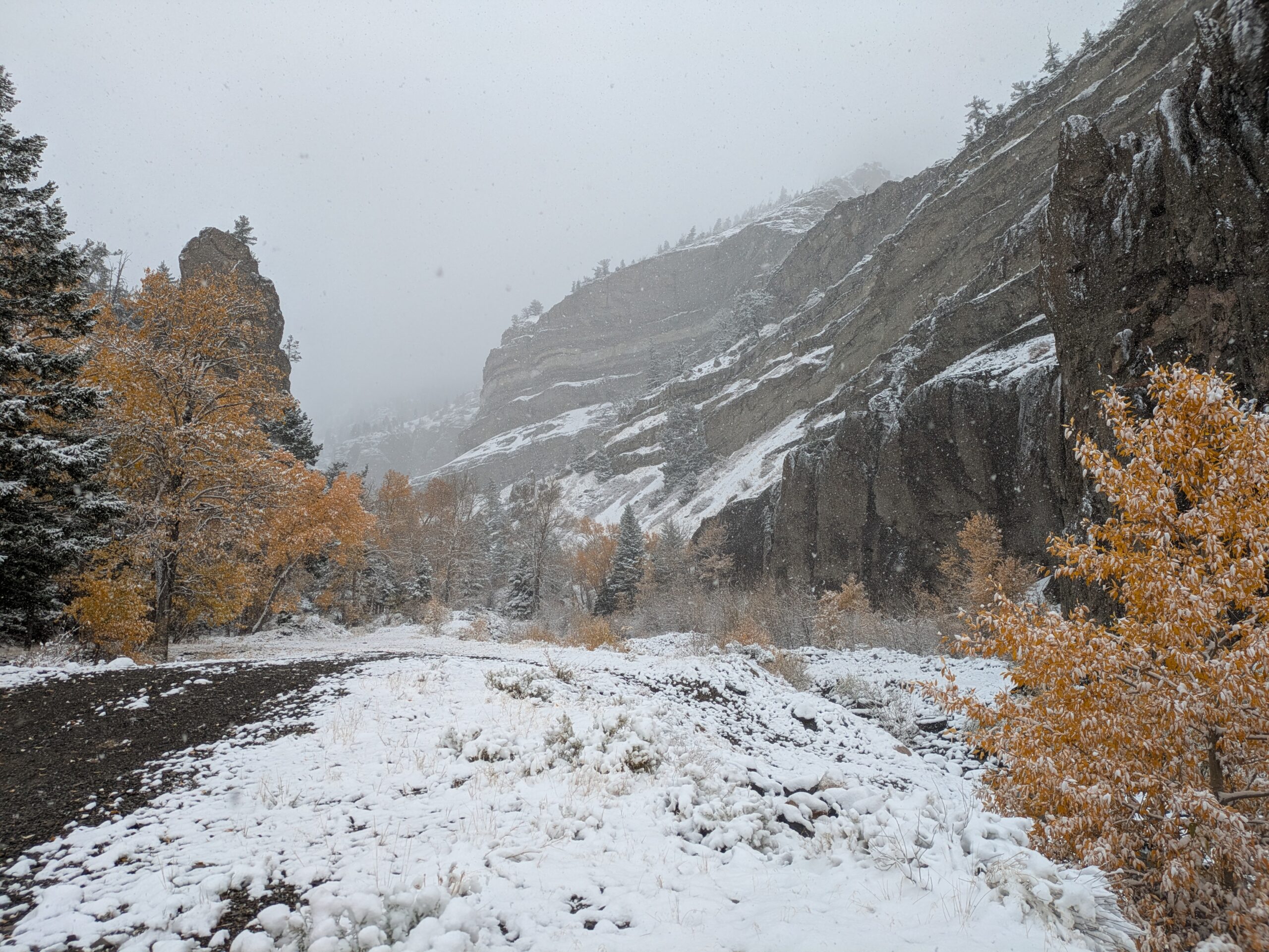 Above Cody on the South Fork