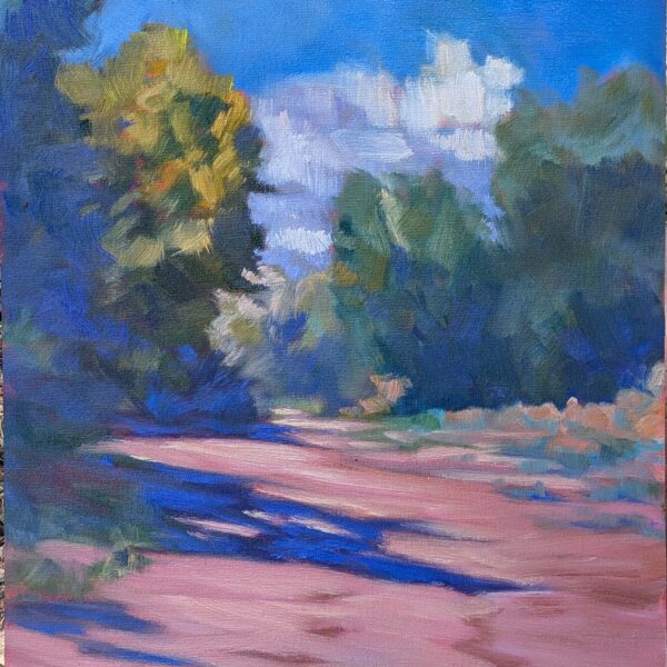 Reflecting on my Arizona landscape paintings