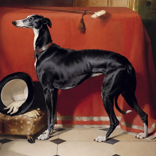 Dogs in art: ten great dog paintings and why I love them